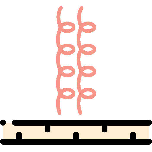 body